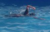 Swimming: Muscle Memory & Humphrey&rsquo;s Law